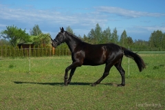 0255C37C-244E-4C16-A5B3-86B4286876BA