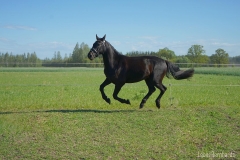 6AC5F3C1-DBA7-46B9-93BD-EA0C410DCDCB